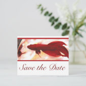 Carte Postale Faire-part Poisson Betta Rouge Save The Date (Debout devant)