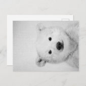 Carte Postale Faire-part Polar-bear, Polar-bear Canvas Gift for Her  (Devant / Derrière)