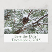 Carte Postale Faire-part Pomme de pin enneigée Enregistrez la date (Devant)