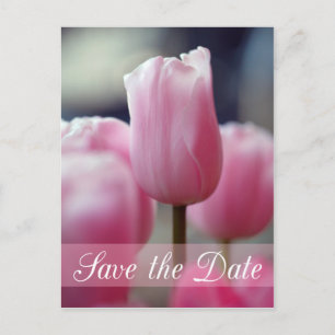 Carte Postale Faire-part Printemps rose fleur de tulipe mariage enregistrer