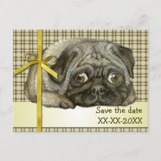 Carte Postale Faire-part Pug bien au chaud