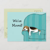 Carte Postale Faire-part Rappel Annonce Chien Mignon Beagle Canapé Heureux (Devant / Derrière)