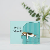 Carte Postale Faire-part Rappel Annonce Chien Mignon Beagle Canapé Heureux (Debout devant)