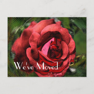 Carte Postale Faire-part Red Rose Flower Design Nouvelle adresse