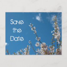 Réservez la date, cerisier en fleurs dans un ciel