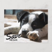 Carte Postale Faire-part Retirement Party Replaceable Photo Save The Date (Devant)