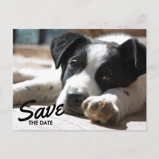 Carte Postale Faire-part Retirement Party Replaceable Photo Save The Date (Devant)
