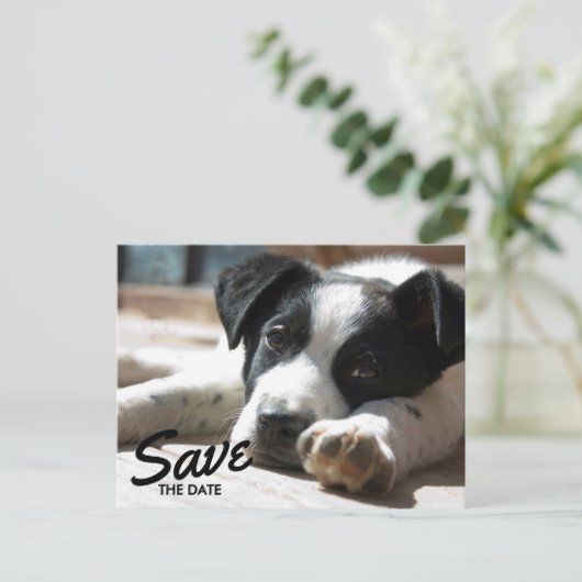 Carte Postale Faire-part Retirement Party Replaceable Photo Save The Date (Debout devant)