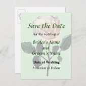 Carte Postale Faire-part Rose Blanche Délicate Enregistrer la Date (Devant / Derrière)