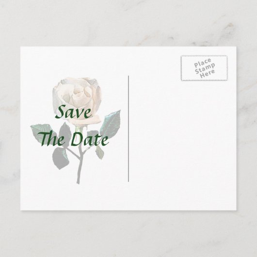 Carte Postale Faire-part Rose Blanche Délicate Enregistrer la Date (Dos)