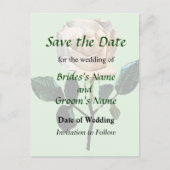 Carte Postale Faire-part Rose Blanche Délicate Enregistrer la Date (Devant)