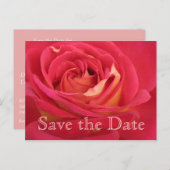 Carte Postale Faire-part Rose Enregistrer la date 55e anniversaire Fête APo (Devant / Derrière)