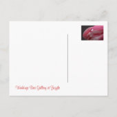 Carte Postale Faire-part Rose rose rose (Dos)
