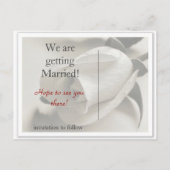 Carte Postale Faire-part Rose rouge (Dos)