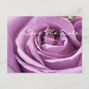 Carte Postale Faire-part rose violette romantique floral shower de mariage