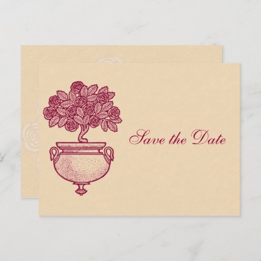 Carte Postale Faire-part Rosebush Bourgogne sur crème Enregistrer la date C (Devant / Derrière)