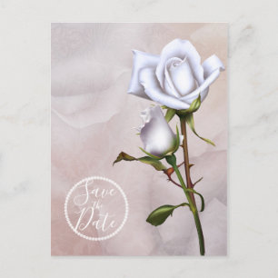 Carte Postale Faire-part Roses Blanches Douces Romantiques Élégantes Sauveg