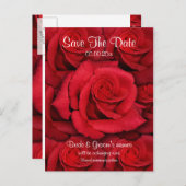 Carte Postale Faire-part Roses rouges - mariage enregistrer la date invitat (Devant / Derrière)