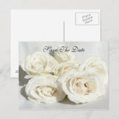 Carte Postale Faire-part Roses sur Linen (Devant / Derrière)