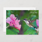 Carte Postale Faire-part Ruby Throated Hummingbird Enregistrer la date Cart (Devant / Derrière)
