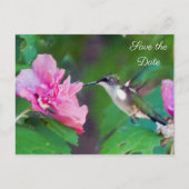 Carte Postale Faire-part Ruby Throated Hummingbird Enregistrer la date Cart (Devant)