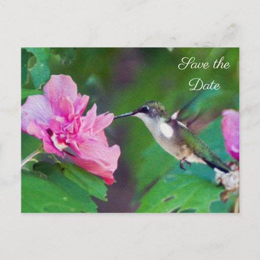 Carte Postale Faire-part Ruby Throated Hummingbird Enregistrer la date Cart (Devant)