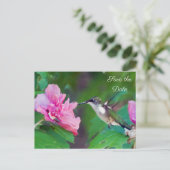 Carte Postale Faire-part Ruby Throated Hummingbird Enregistrer la date Cart (Debout devant)