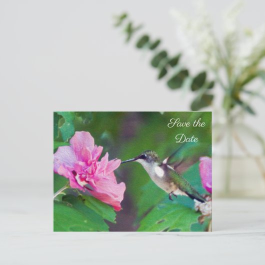 Carte Postale Faire-part Ruby Throated Hummingbird Enregistrer la date Cart (Debout devant)
