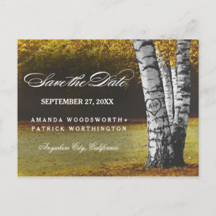 Carte Postale Faire-part Rustic Fall Birch Tree Pays Enregistrer La Date