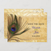 Carte Postale Faire-part Rustic Peacock Mariage en plume enregistrer la dat (Devant / Derrière)
