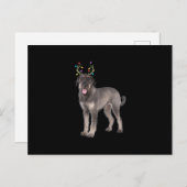 Carte Postale Faire-part saucisse de rennes de schnauzer géant (Devant / Derrière)