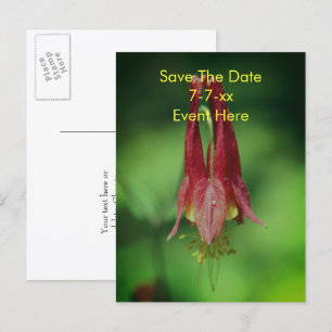 Carte Postale Faire-part Sauvegarder la date Fleur de colombine sauvage 
