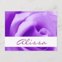 Sauvegarder la date Rose Violette de Rêve V22A