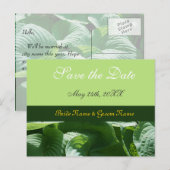 Carte Postale Faire-part sauver la date, feuilles vertes fraîches (Devant / Derrière)