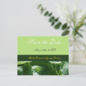 Carte Postale Faire-part sauver la date, feuilles vertes fraîches (Debout devant)