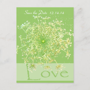 Carte Postale Faire-part Sauvez la date dentelle de la reine Anne