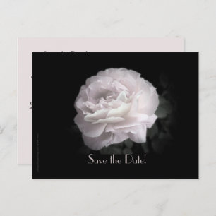 Carte Postale Faire-part Save the Date 95e Birthday Party Pale Pink Rose