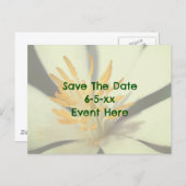 Carte Postale Faire-part Save The Date Bloodroot Flower (Devant / Derrière)