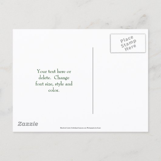 Carte Postale Faire-part Save The Date Bloodroot Flower (Dos)