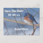 Carte Postale Faire-part Save The Date Bluebird Nature Personalized (Devant)