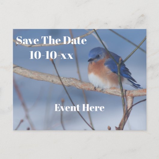 Carte Postale Faire-part Save The Date Bluebird Nature Personalized (Devant)