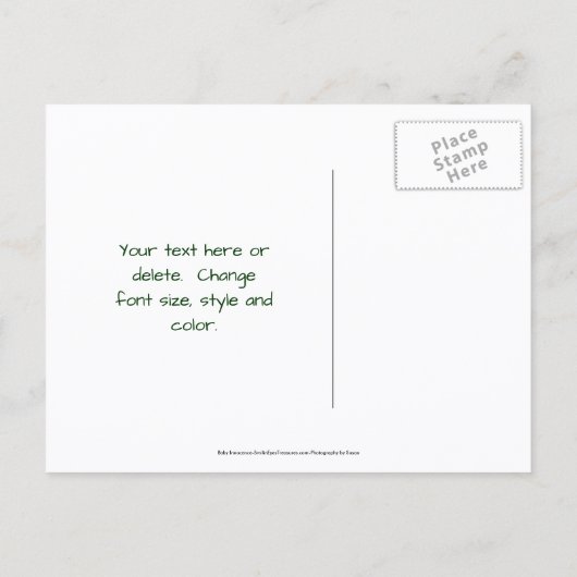 Carte Postale Faire-part Save The Date Canada Geese Babies Nature (Dos)