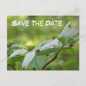 Carte Postale Faire-part Save The Date Dogwood Flower Photo (Devant)