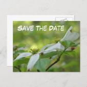 Carte Postale Faire-part Save The Date Dogwood Flower Photo (Devant / Derrière)