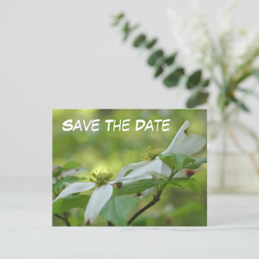 Carte Postale Faire-part Save The Date Dogwood Flower Photo (Debout devant)