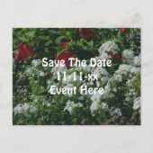 Carte Postale Faire-part Save The Date Hibiscus Phlox Flower Garden (Devant)