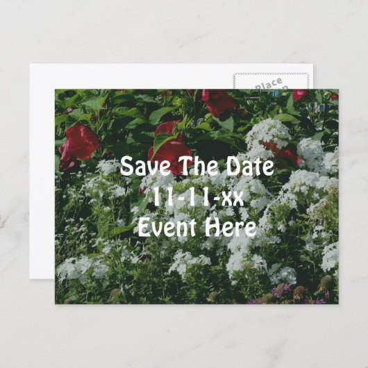 Carte Postale Faire-part Save The Date Hibiscus Phlox Flower Garden (Devant / Derrière)
