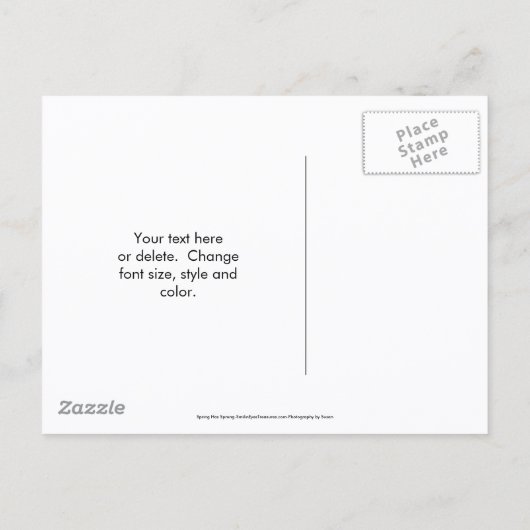 Carte Postale Faire-part Save The Date Magnolia Flower Blossoms  (Dos)