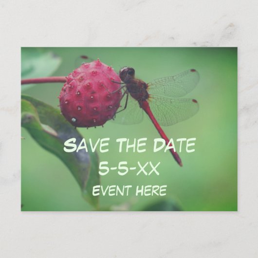 Carte Postale Faire-part Save The Date Red Dragonfly Nature (Devant)
