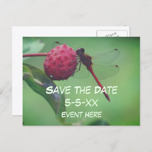 Carte Postale Faire-part Save The Date Red Dragonfly Nature (Devant / Derrière)